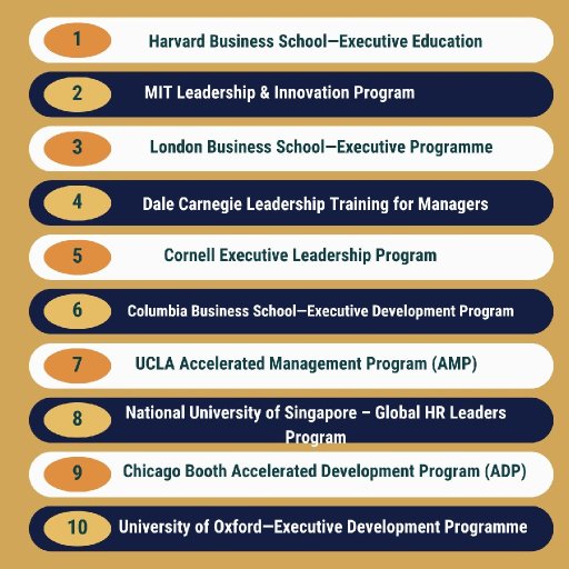 executivedevelopment